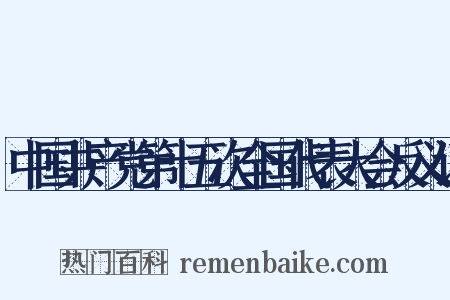中国共产党第十五次全国代表大会反义词是什么意思的图片